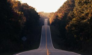 Uphill road goes on and on from shadow in the foreground and climbs into the sunlight in the background.